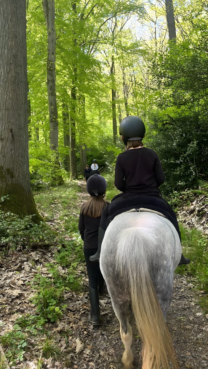 Kind reitet auf einem Schimmel durch den Wald, Ponyspaziergänge und Ferien