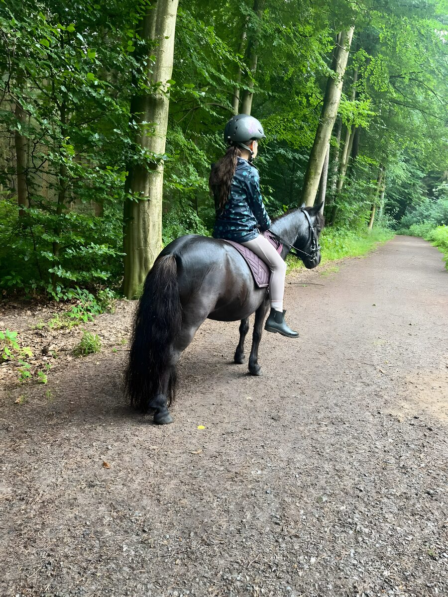 Kind reitet allein auf seinem Pony