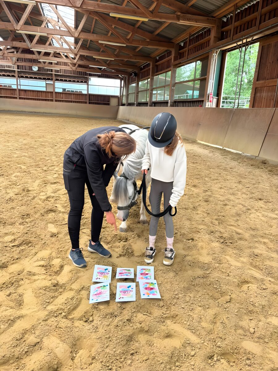 Gruppenunterricht für Kinder in der Reithalle
